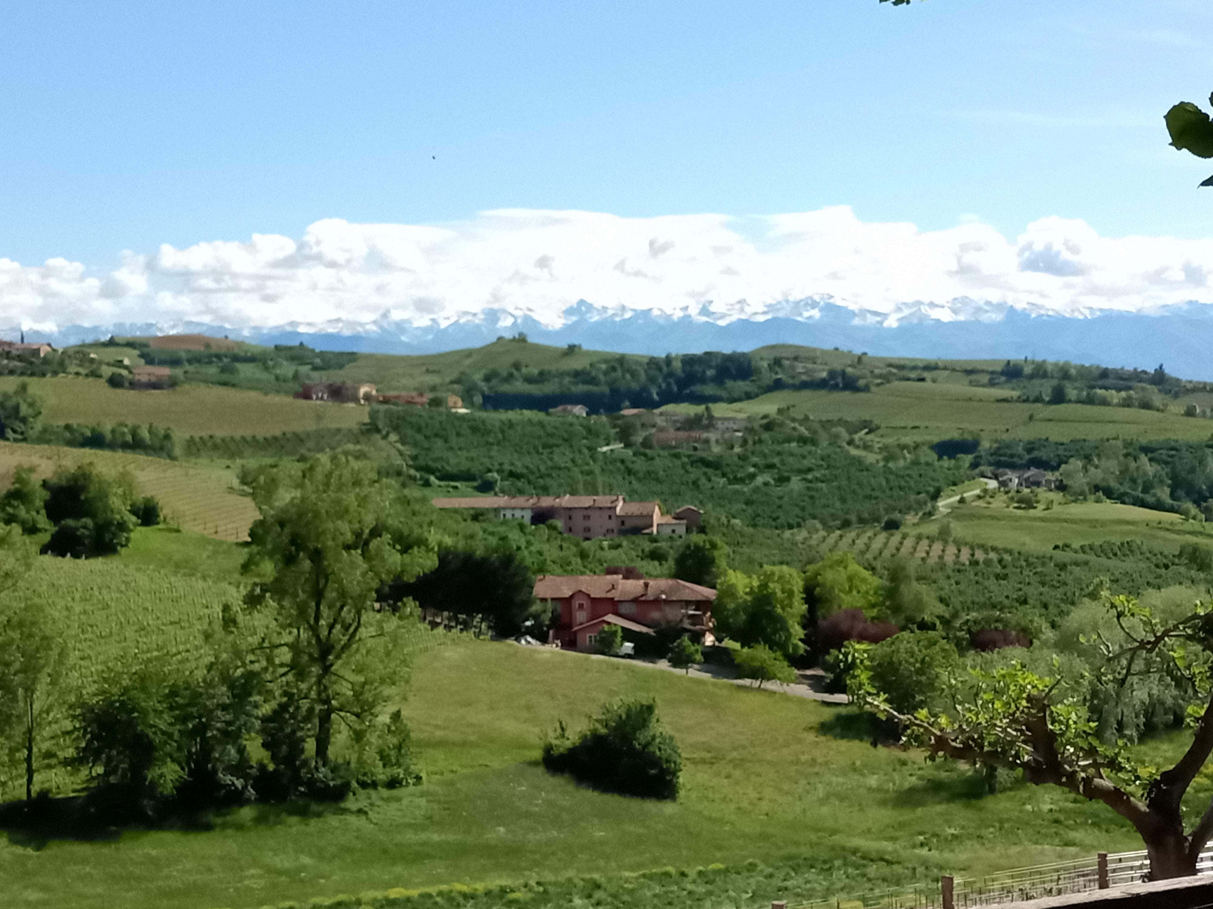 Dogliani 1da435c7 22a3 4250 ba84 64f1dd0803e9 1 all 2494